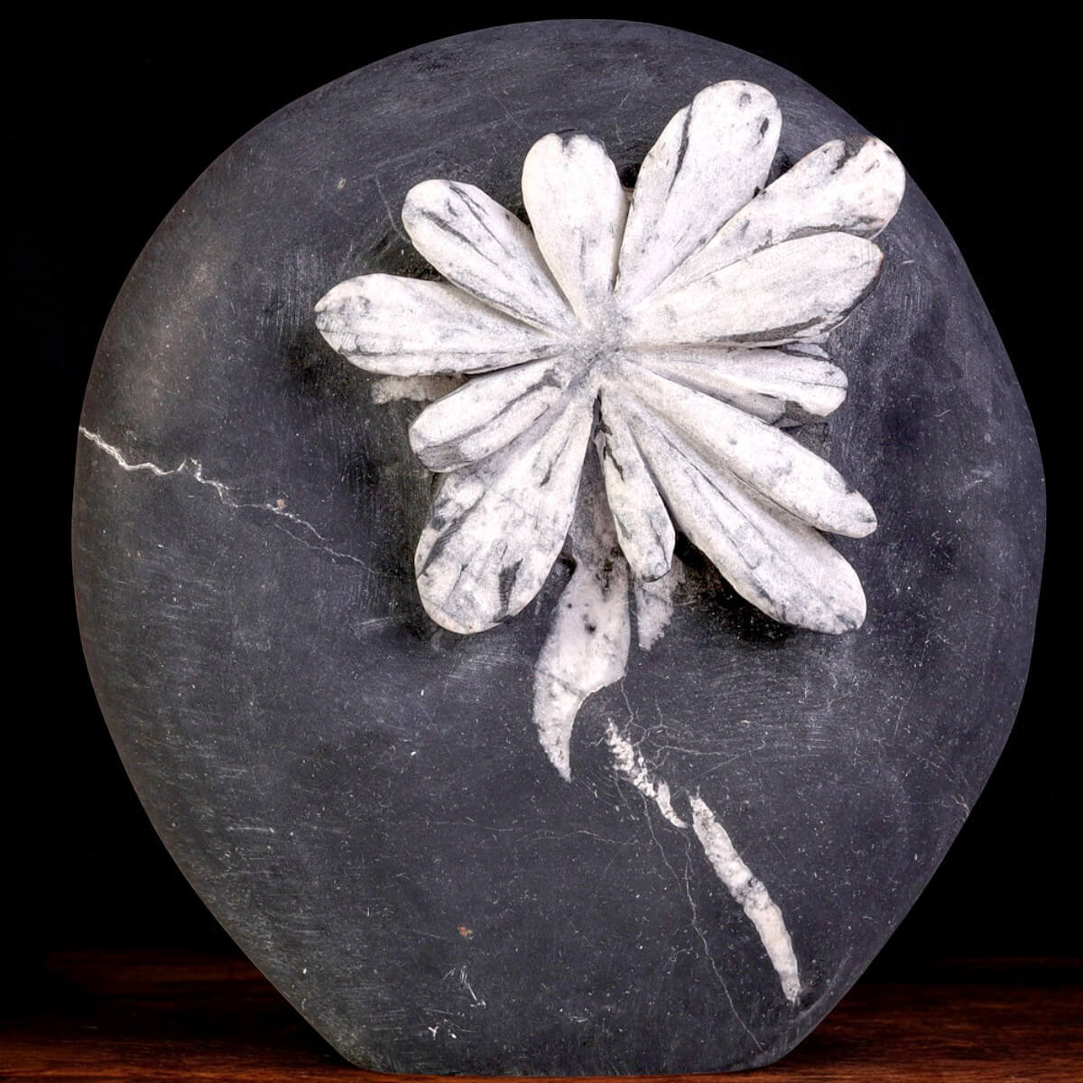 菊花石　chrysanthemum stone 菊花石の意味と効果